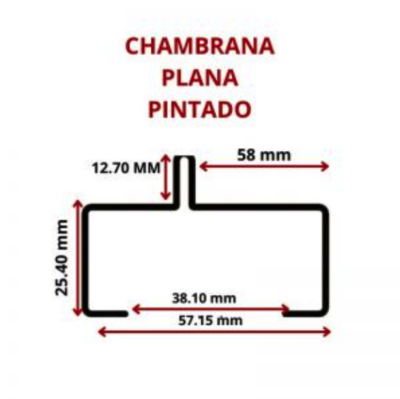 CHAMBRANA PLANA PINTADA
